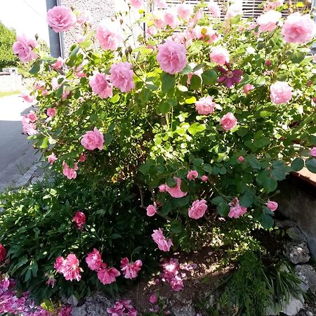 Gite Les 27 Roses Et Plus Chatel-Censoir Bagian luar foto