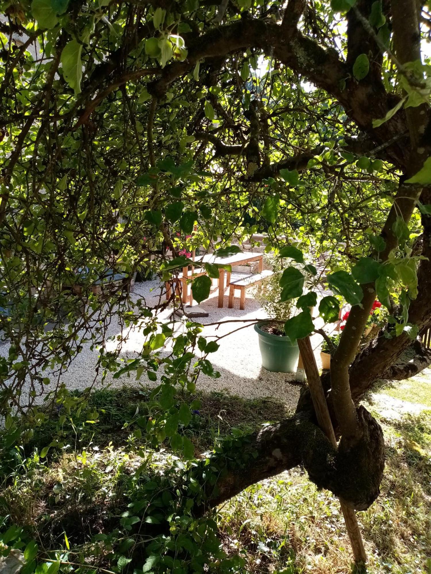 Gite Les 27 Roses Et Plus Chatel-Censoir Bagian luar foto